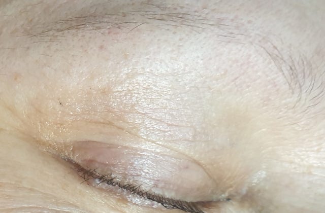 Čtvrtá ukázka pudrového permanentního makeupu obočí před aplikací